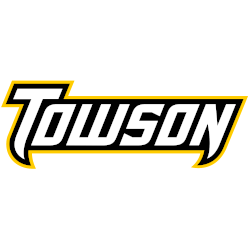 Towson Tigers Wordmark Logo 2011 - Present